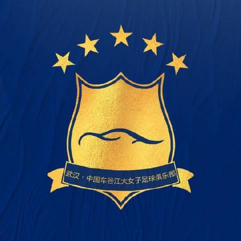 女超聯(lián)賽初季限薪限國腳，江大失優(yōu)秀隊員