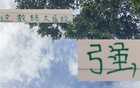 強(qiáng)觀大局！國(guó)安主帥輪換險(xiǎn)致敗，多樣陣容更勝一籌。