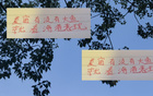 深圳申花等隊(duì)引外援國(guó)腳，夏窗期待海港大魚。