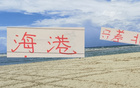海港投入巨資，17輪后近北京國安，表現(xiàn)良好。