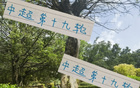 周末申花云南高原賽，阿蘇埃赤道南能否進(jìn)第四球？