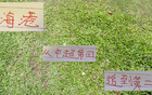 海港近榜首僅差4分，萊昂納多投資值得。