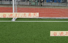 海港務(wù)實(shí)高效，申花攻守失衡。