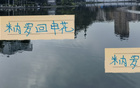 馬萊萊替身米內(nèi)羅歸申花，亞冠或成唯一期待。