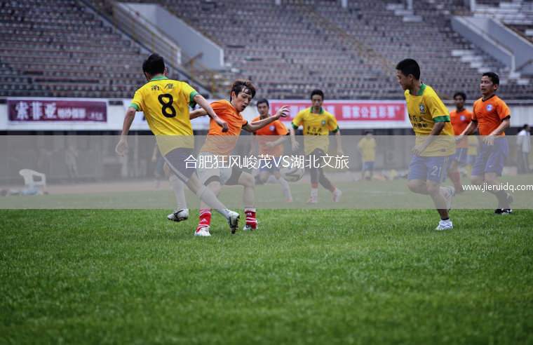 合肥狂風(fēng)峻茂VS湖北文旅 合肥狂風(fēng)峻茂VS湖北文旅
