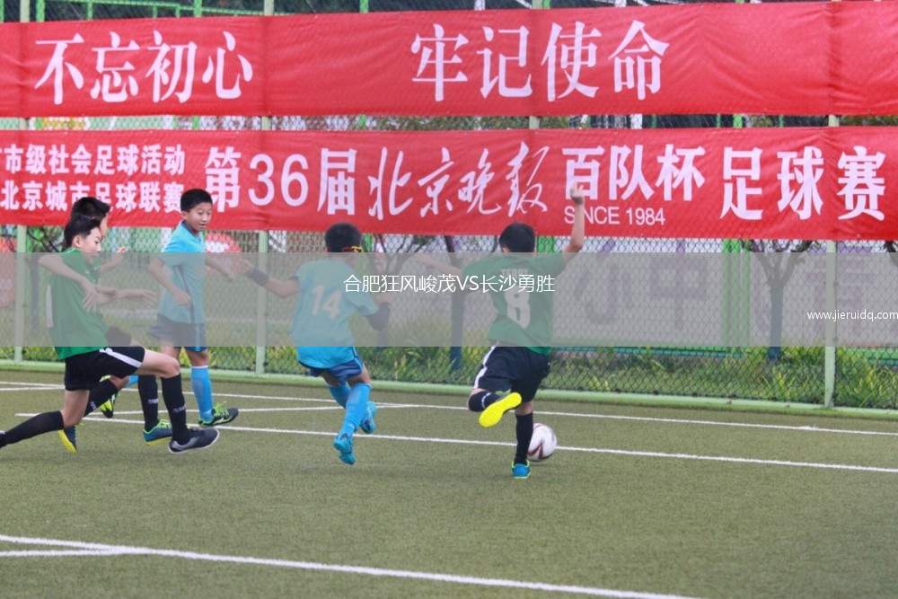 合肥狂風(fēng)峻茂VS長(zhǎng)沙勇勝 合肥狂風(fēng)峻茂VS長(zhǎng)沙勇勝