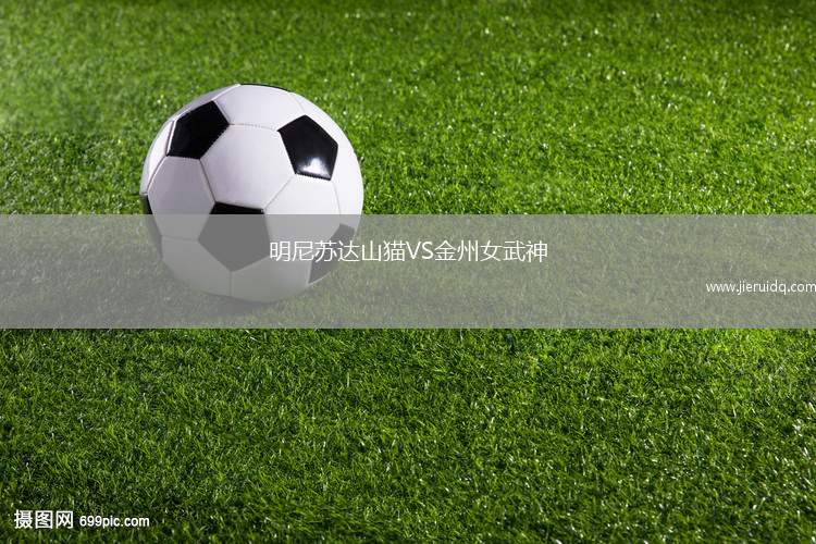 明尼蘇達山貓VS金州女武神 明尼蘇達山貓VS金州女武神