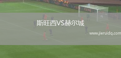 斯旺西VS赫爾城