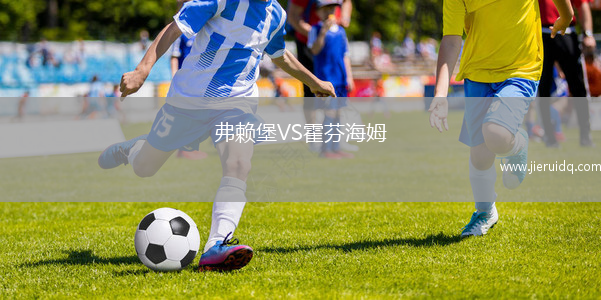 弗賴堡VS霍芬海姆 弗賴堡VS霍芬海姆