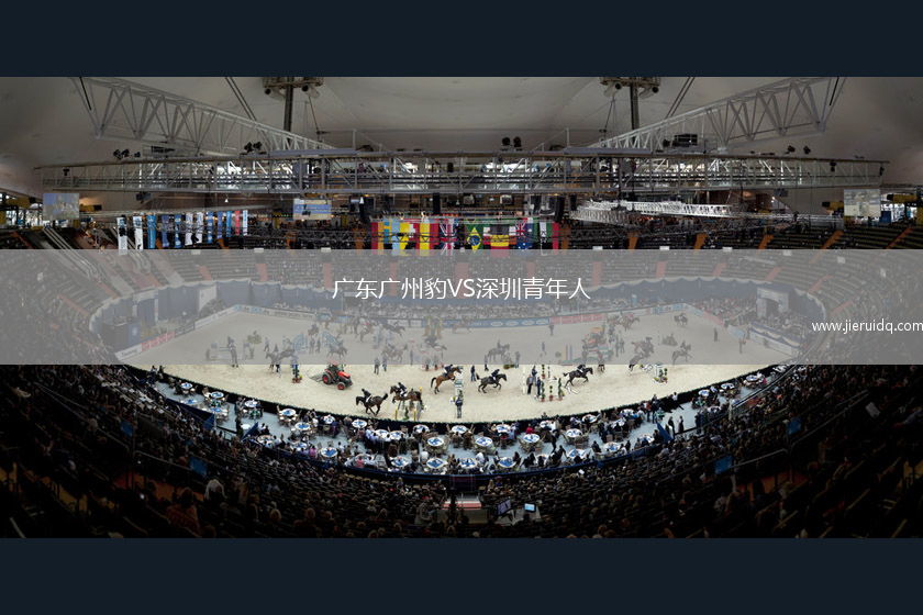 廣東廣州豹VS深圳青年人