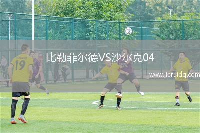 比勒菲爾德VS沙爾克04 比勒菲爾德VS沙爾克04