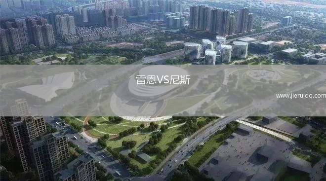 雷恩VS尼斯