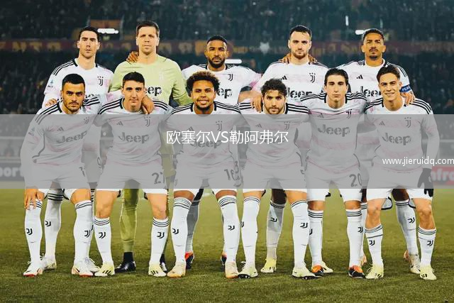 歐塞爾VS勒阿弗爾 歐塞爾VS勒阿弗爾